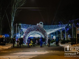 Полиция рассказала, были ли грубые нарушения общественного порядка в Кривом Роге в новогодние дни