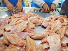 В Украине выросло потребление курятины