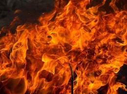 Малыши погибли в Новый год: огонь сразу охватил весь дом, у них не было шансов