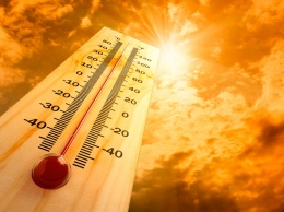 Лето 2019 испепелит украину: "жара начнется в необычный сезон", появился прогноз