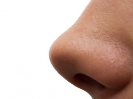 Ученые: люди используют одну ноздрю при вдохе