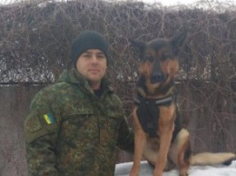 В Днепропетровской области служебный пес за полчаса нашел потерявшегося 8-летнего мальчика