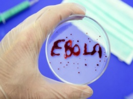 В Швеции госпитализировали больного с подозрением на лихорадку Эбола