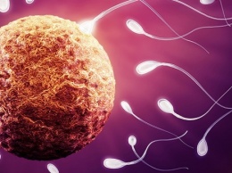 Изобретен мужской гаджет, улучшающий производство спермы