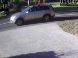 Ребенок в подгузнике прокатился на крыше внедорожника (видео)
