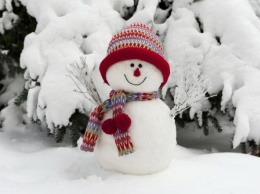 Жители Ростова недорого распродают снег