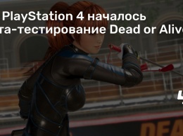 На PlayStation 4 началось бета-тестирование Dead or Alive 6