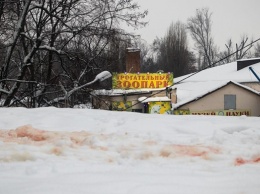 В Днепре студента-иностранца ранили ножом