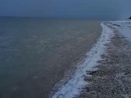В Кирилловке начало замерзать Азовское море (видео)