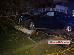 Водитель BMW, наехавший на дерево в центре Николаева, оказался зятем члена исполкома