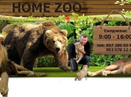 В Васильевском зоопарке появились экзотические животные - подробности