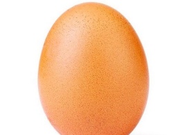 Куриное яйцо побило рекорд по лайкам в Instagram