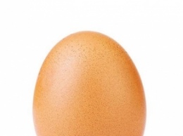 Фото куриного яйца стало рекордсменом Instagram (фото)