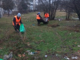 За два выходных дня в Симферополе вывезли более 500 тонн мусора