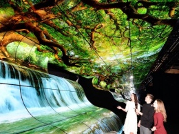 Инсталация "Водопады OLED" впечатлила посетителей выставки CES 2019