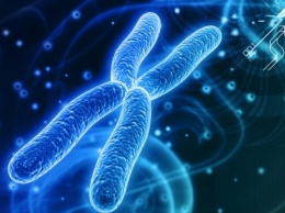 Исследователи обнаружили набор генов, который заставляет людей рисковать