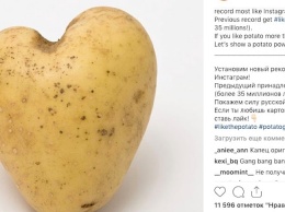 Картошка хочет обойти рекорд яйца в Instagram
