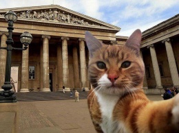 «Судакская крепость» присоединится к Международной твиттер-акции MuseumSelfie