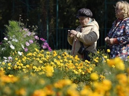 Цветущий город: Симферополь хотят превратить в ботанический сад