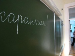 В 13 школах Киева приостановили обучение из-за карантина - Госпродпотребслужба