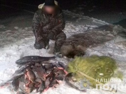 На Кременчугском водохранилище орудовал браконьер (фото)