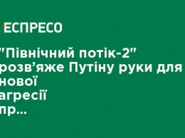 "Северный поток-2" развяжет Путину руки для новой агрессии против Украины, - депутат Европарламента