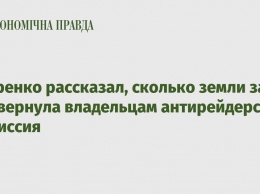 Петренко рассказал, сколько земли за год вернула владельцам антирейдерская комиссия