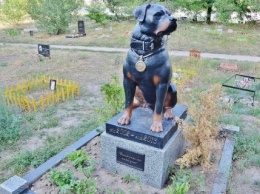 Киевские власти решили построить возле Троещины кладбище для животных