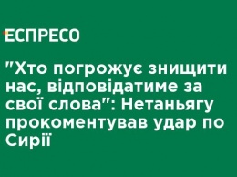 "Кто угрожает уничтожить нас, ответит за свои слова": Нетаниягу прокомментировал удар по Сирии