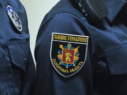 На Запорожье из припаркованного авто украли 200 тыс. грн и документы