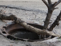 В столичной канализации обнаружили 130-тонного монстра: «чудовище побеждено», фото