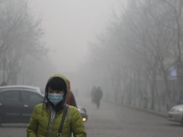 Российский город накрыло ядовитым дымом: "Запах горящего угля просто невыносим"