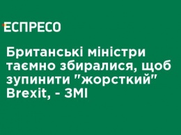 Британские министры тайно собирались, чтобы остановить "жесткий" Brexit, - СМИ