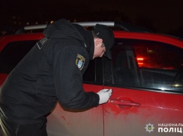 В Николаеве поймали опытного автовора-сканериста