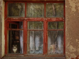 Одесситка забаррикадировалась в квартире с животными: соседи жалуются на постоянную вонь и антисанитарию