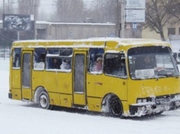 Не хватило на проезд: на Прикарпатье маршрутчик выгнал ребенка на крепкий мороз