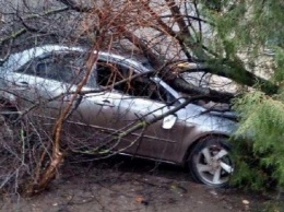 Смотри: на проспекте Небесной сотни автомобиль врезался в ограждение жилого дома