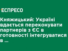 Княжицкий: Украине удается убеждать партнеров по ЕС в готовности интегрироваться в европейское общество