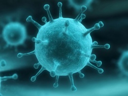 Передается даже с пылью: доктор Комаровский предупредил украинцев о новой вирусной инфекции