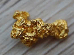 Следователь магаданского ФСБ похитил из вещдоков 12 кг золота