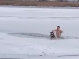 В Николаеве молодой человек нырнул в прорубь, чтобы помочь тонущему псу