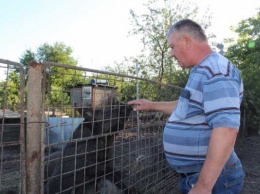 Егерь из Днепропетровщины выращивает краснокнижных животных в своем дворе