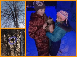 Две школьницы из Харькова спасли замерзшего