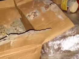 Журналисты показали, как в Украине из опасных отходов делают «плавленный сыр». ВИДЕО
