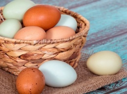 «Предотвращают инсульт, но все равно вредные»: медики рассказали о правилах употребления яиц