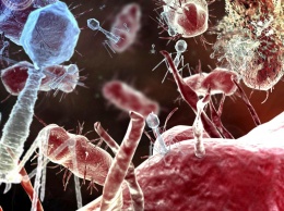 Глобальная проблема XXI века: «супербактерии» против человечества