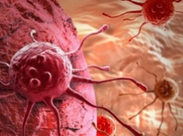 Рак может самоуничтожаться: ученые сделали сенсационное открытие