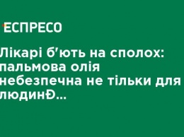 Врачи бьют тревогу: пальмовое масло опасно не только для человека, но и для планеты