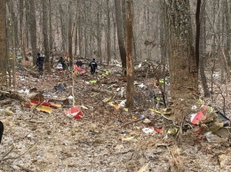 В США медицинский вертолет рухнул в лесах Огайо. Погибло три человека