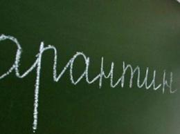 Грипп и простуда закрывают школы в Запорожье и области